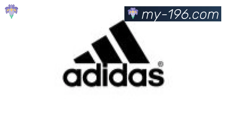 196体育官网合作伙伴